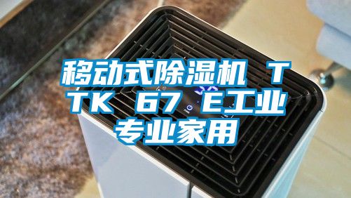 移动式除湿机 TTK 67 E工业专业家用