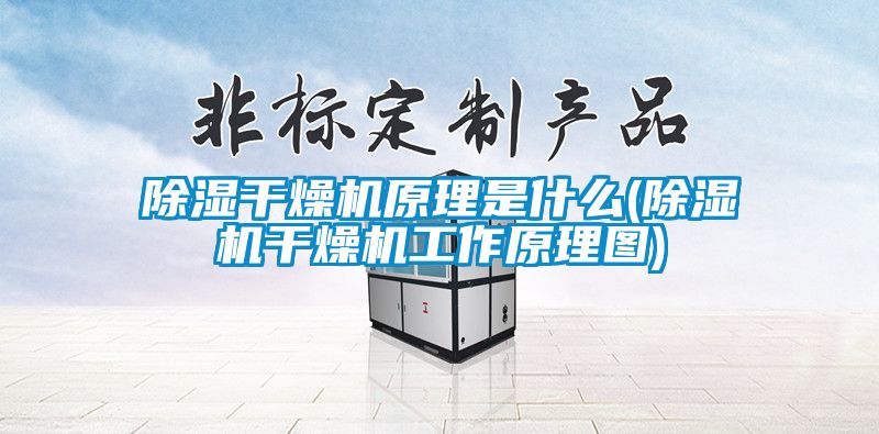 除湿干燥机原理是什么(除湿机干燥机工作原理图)