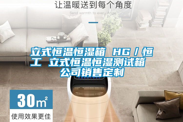 立式恒温恒湿箱 HG／恒工 立式恒温恒湿测试箱 公司销售定制