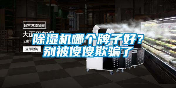 除湿机哪个牌子好？别被傻傻欺骗了