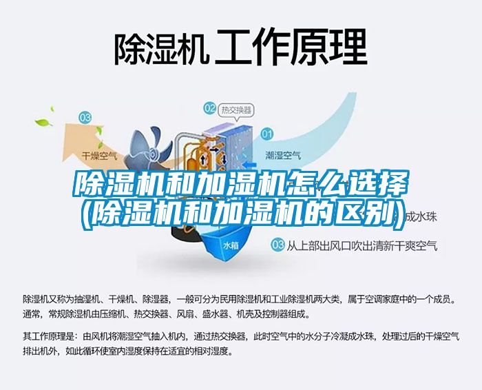 除湿机和加湿机怎么选择(除湿机和加湿机的区别)