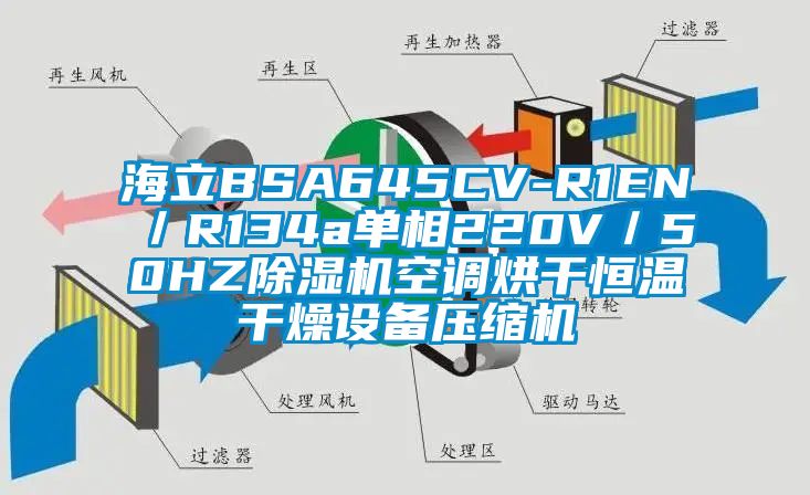 海立BSA645CV-R1EN／R134a单相220V／50HZ除湿机空调烘干恒温干燥设备压缩机