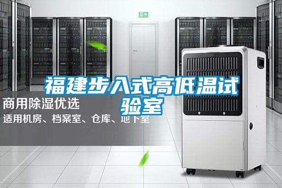 福建步入式高低温试验室