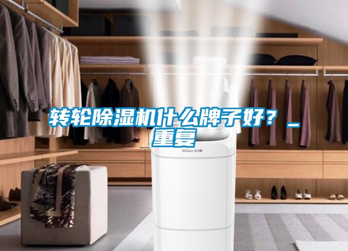 转轮除湿机什么牌子好？_重复