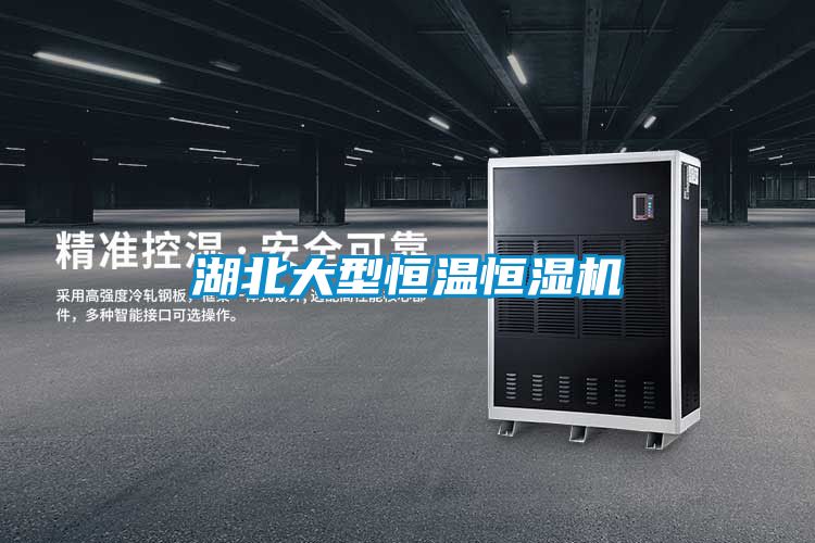 湖北大型恒温恒湿机