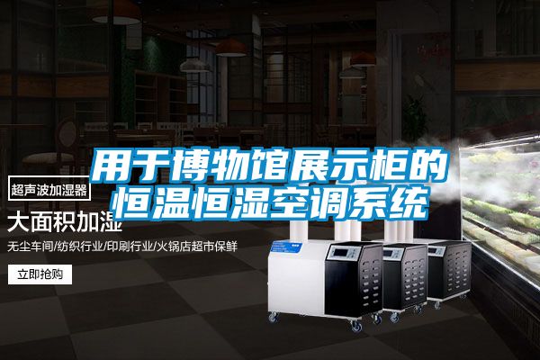 用于博物馆展示柜的恒温恒湿空调系统