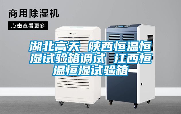 湖北高天 陕西恒温恒湿试验箱调试 江西恒温恒湿试验箱