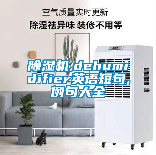 除湿机,dehumidifier英语短句,例句大全