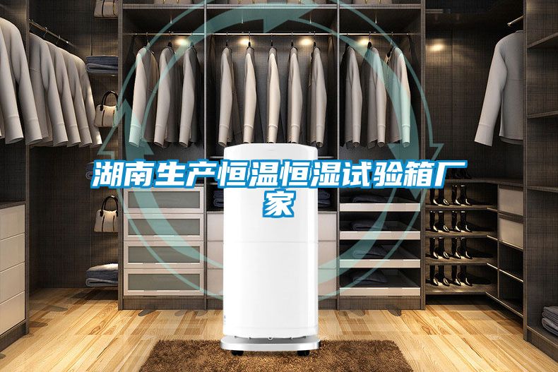 湖南生产恒温恒湿试验箱厂家