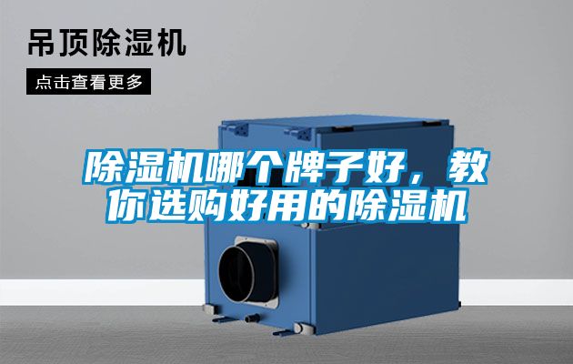 除湿机哪个牌子好，教你选购好用的除湿机