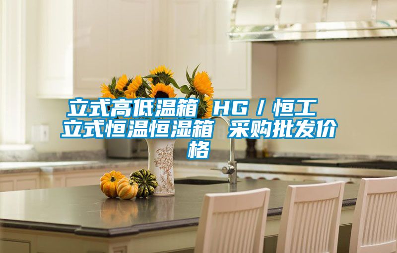 立式高低温箱 HG／恒工 立式恒温恒湿箱 采购批发价格