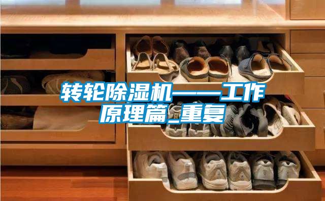 转轮除湿机——工作原理篇_重复