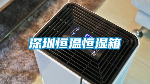 深圳恒温恒湿箱