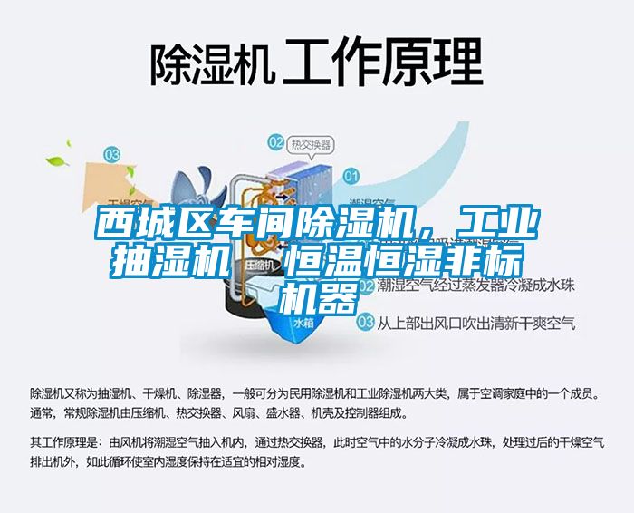 西城区车间除湿机，工业抽湿机  恒温恒湿非标机器