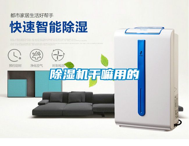 除湿机干嘛用的