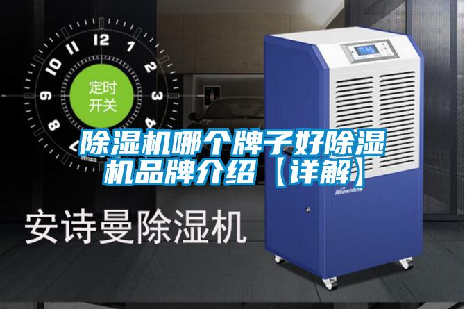 除湿机哪个牌子好除湿机品牌介绍【详解】