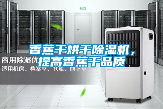 香蕉干烘干除湿机，提高香蕉干品质