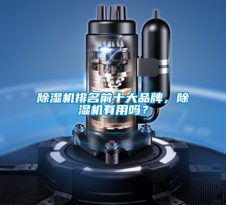 除湿机排名前十大品牌，除湿机有用吗？