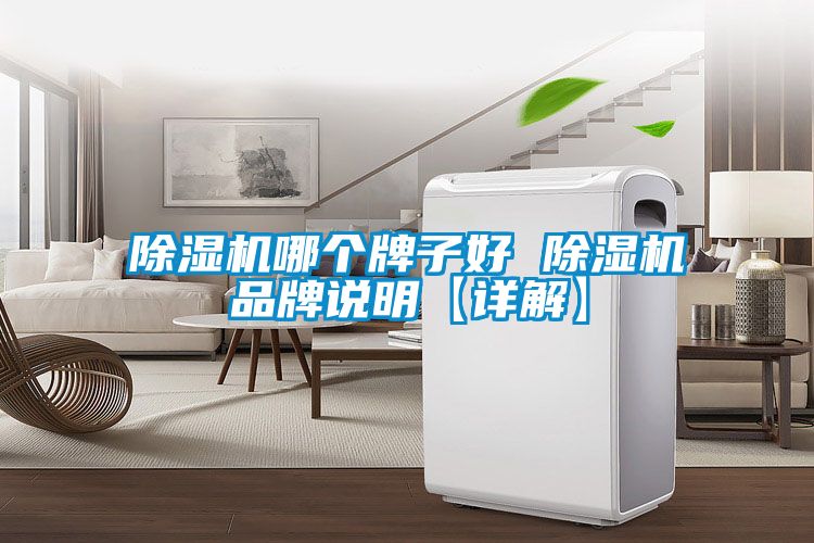除湿机哪个牌子好 除湿机品牌说明【详解】