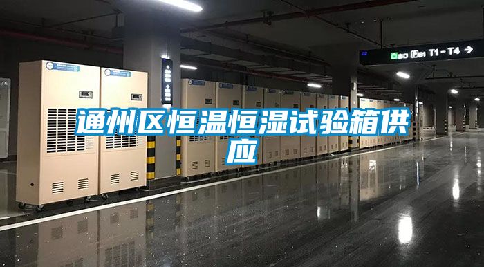 通州区恒温恒湿试验箱供应