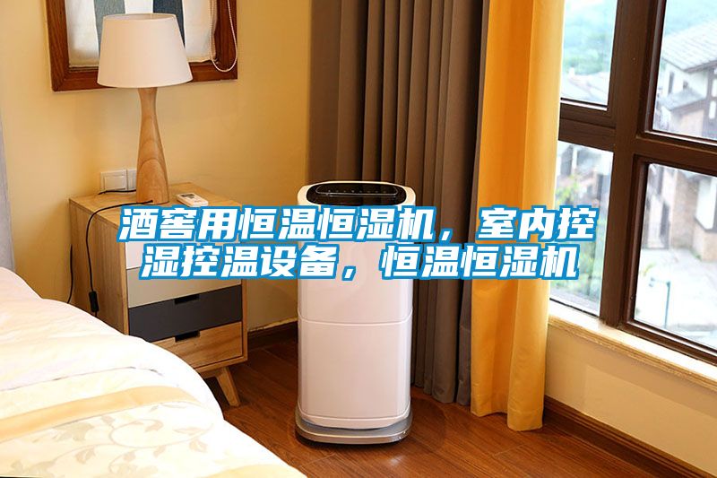酒窖用恒温恒湿机，室内控湿控温设备，恒温恒湿机