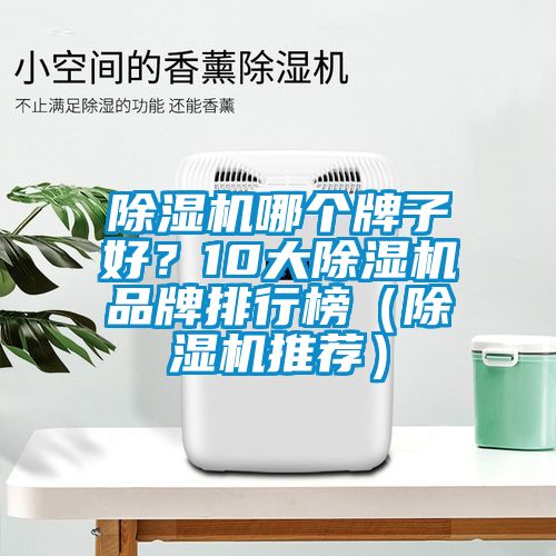 除湿机哪个牌子好？10大除湿机品牌排行榜（除湿机推荐）