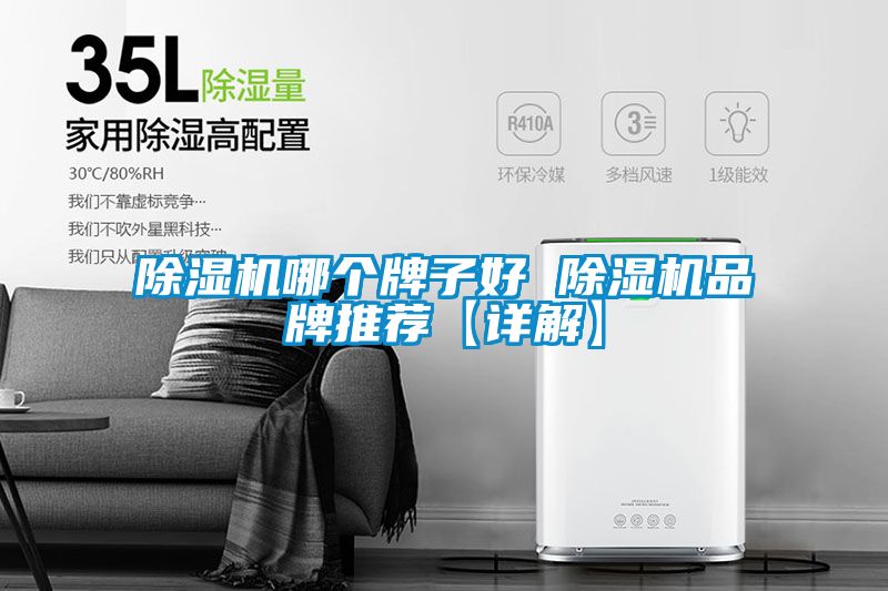 除湿机哪个牌子好 除湿机品牌推荐【详解】