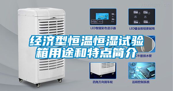 经济型恒温恒湿试验箱用途和特点简介