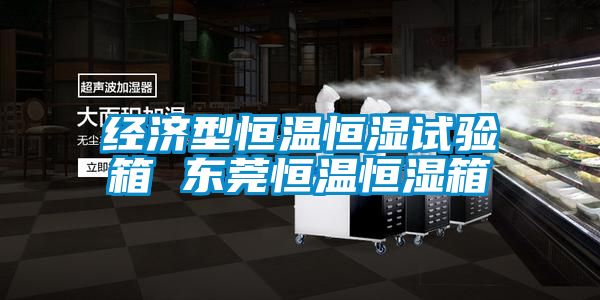 经济型恒温恒湿试验箱 东莞恒温恒湿箱