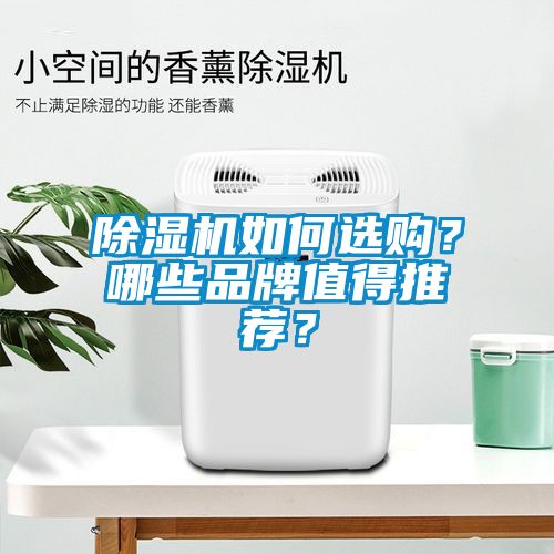 除湿机如何选购？哪些品牌值得推荐？