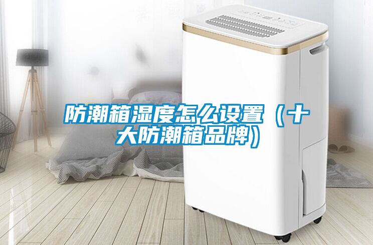 防潮箱湿度怎么设置（十大防潮箱品牌）
