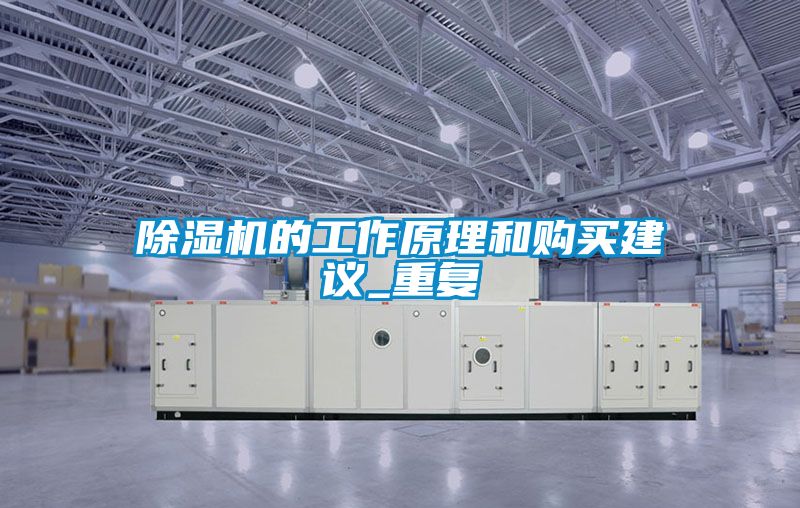 除湿机的工作原理和购买建议_重复