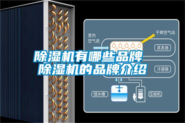 除湿机有哪些品牌 除湿机的品牌介绍