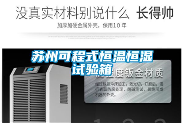 苏州可程式恒温恒湿试验箱
