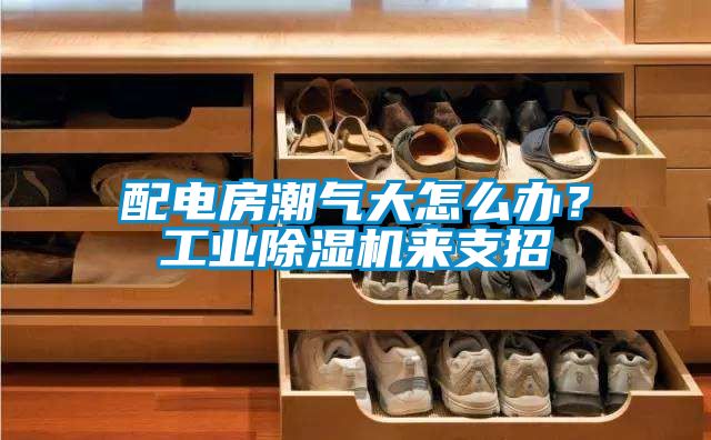 配电房潮气大怎么办？工业除湿机来支招
