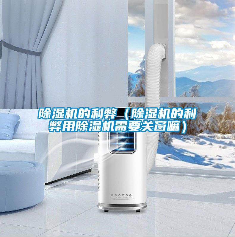 除湿机的利弊（除湿机的利弊用除湿机需要关窗嘛）