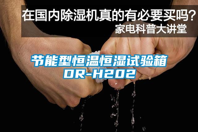 节能型恒温恒湿试验箱DR-H202