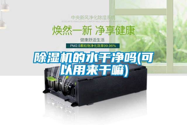 除湿机的水干净吗(可以用来干嘛)