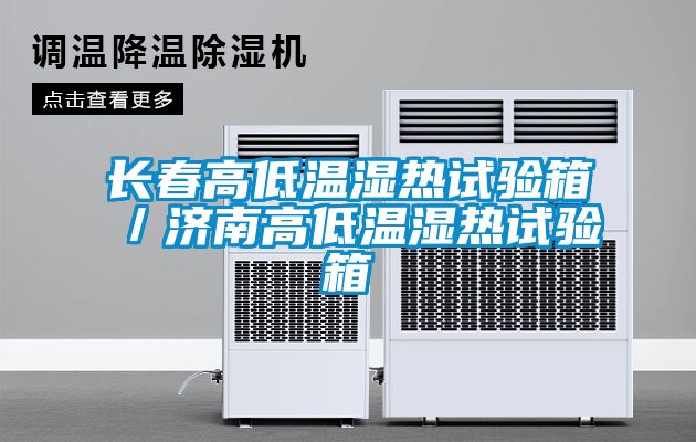长春高低温湿热试验箱／济南高低温湿热试验箱