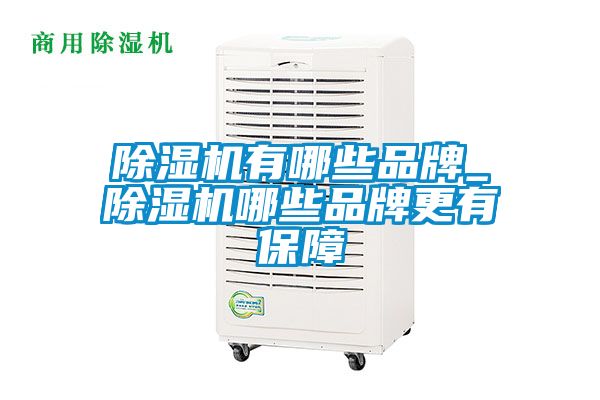 除湿机有哪些品牌_除湿机哪些品牌更有保障