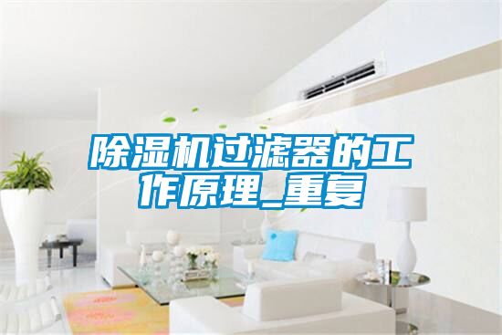除湿机过滤器的工作原理_重复