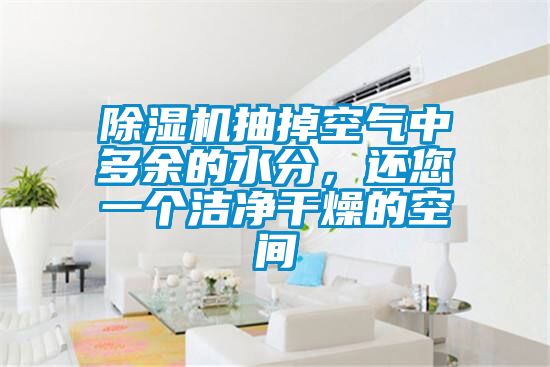 除湿机抽掉空气中多余的水分，还您一个洁净干燥的空间