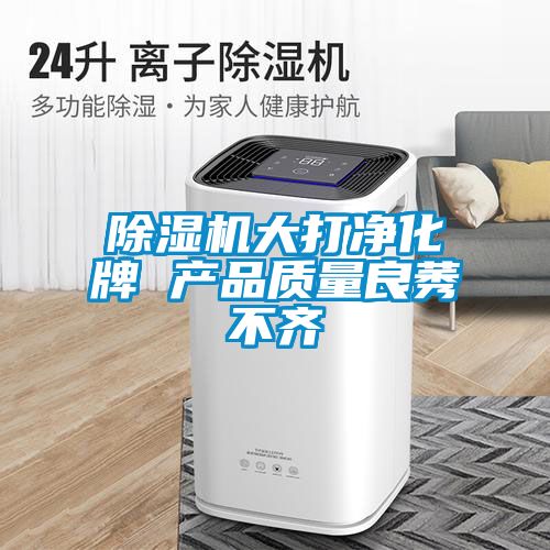 除湿机大打净化牌 产品质量良莠不齐
