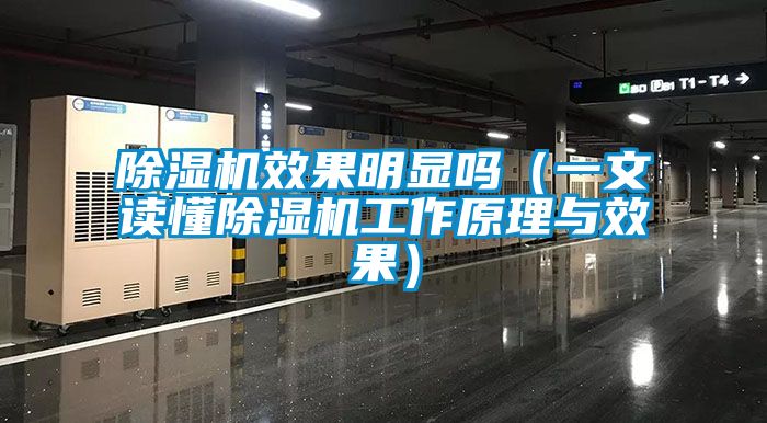 除湿机效果明显吗（一文读懂除湿机工作原理与效果）