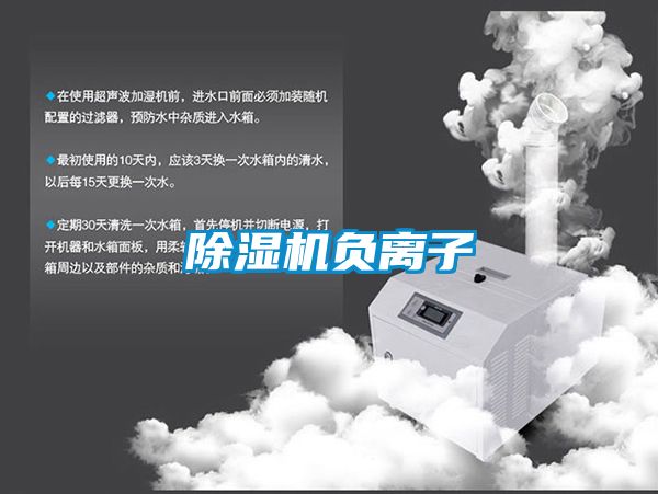 除湿机负离子