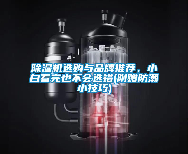 除湿机选购与品牌推荐，小白看完也不会选错(附赠防潮小技巧)