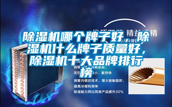 除湿机哪个牌子好，除湿机什么牌子质量好，除湿机十大品牌排行榜