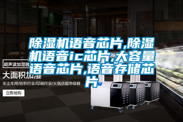 除湿机语音芯片,除湿机语音ic芯片,大容量语音芯片,语音存储芯片