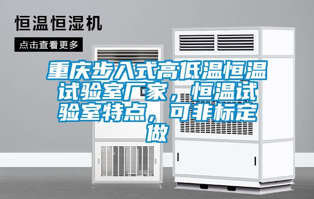 重庆步入式高低温恒温试验室厂家，恒温试验室特点，可非标定做