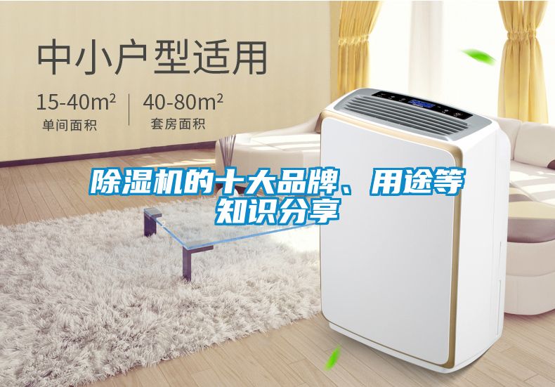 除湿机的十大品牌、用途等知识分享